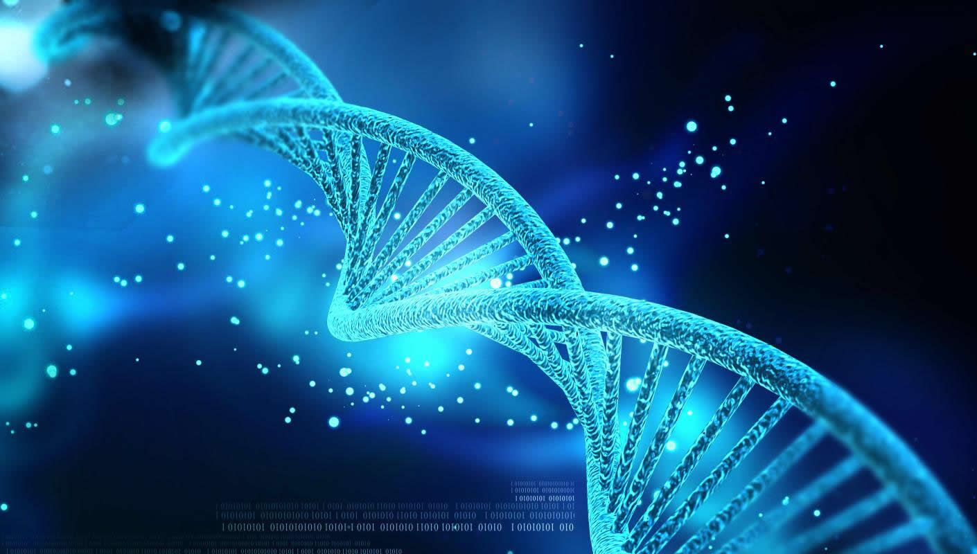 DNA - Genes - Enzymes